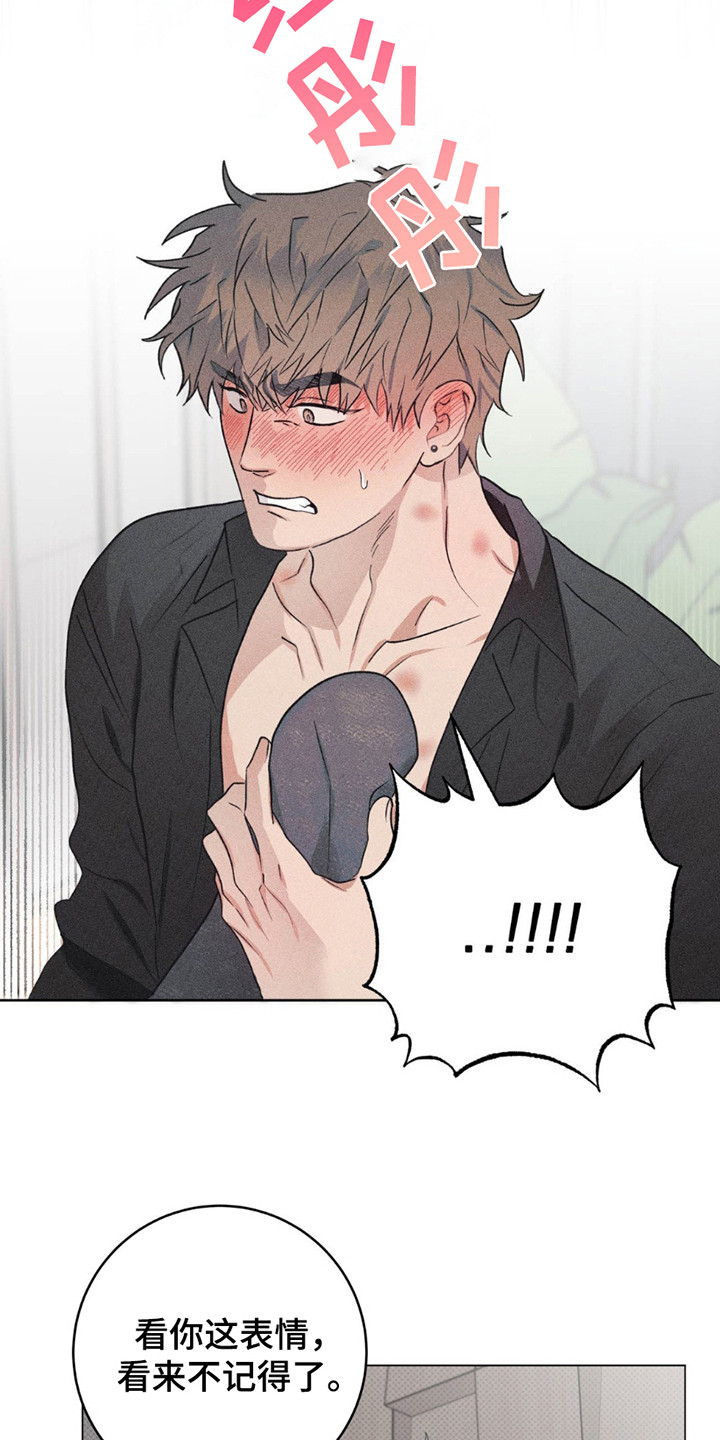 迟来的伴侣漫画免费读漫画的软件漫画,第10章：不记得了5图