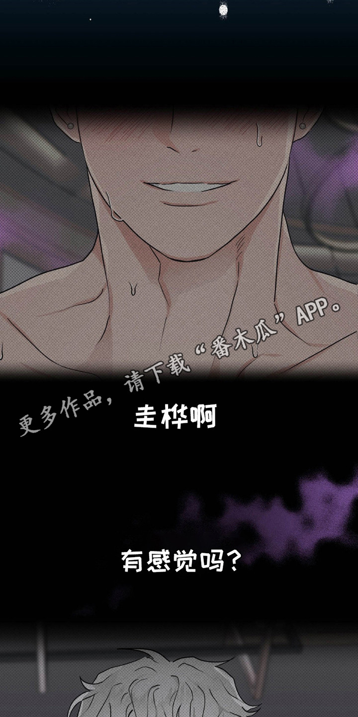 迟来的伴侣漫画免费读漫画的软件漫画,第10章：不记得了1图