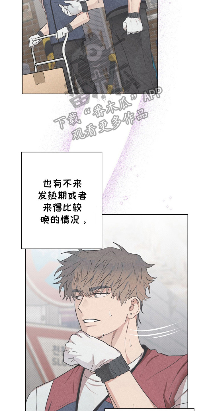 迟来的深情漫画,第12章：命运的伴侣2图