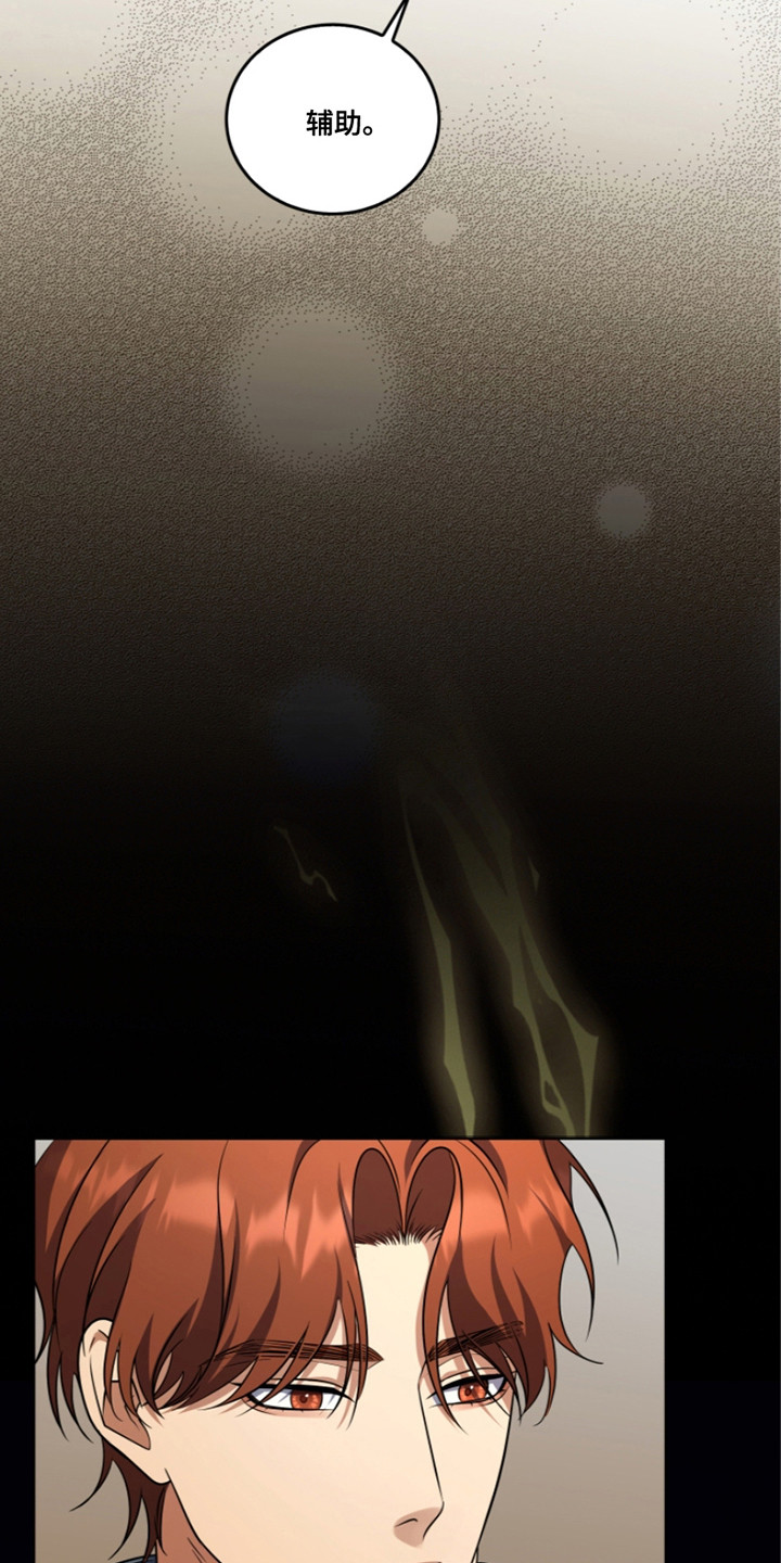 双重血脉的天才漫画,第27章：辅助5图