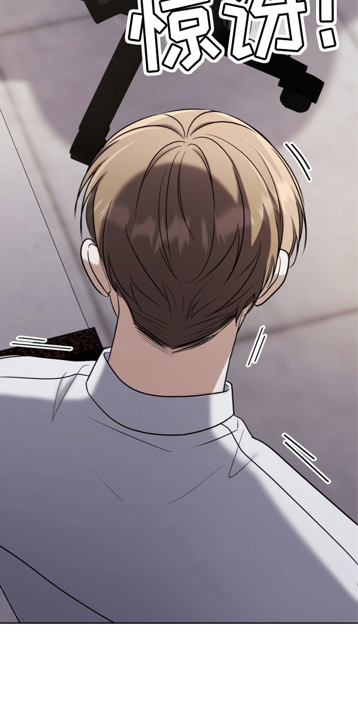 双重血脉角色介绍漫画,第22章：调查4图