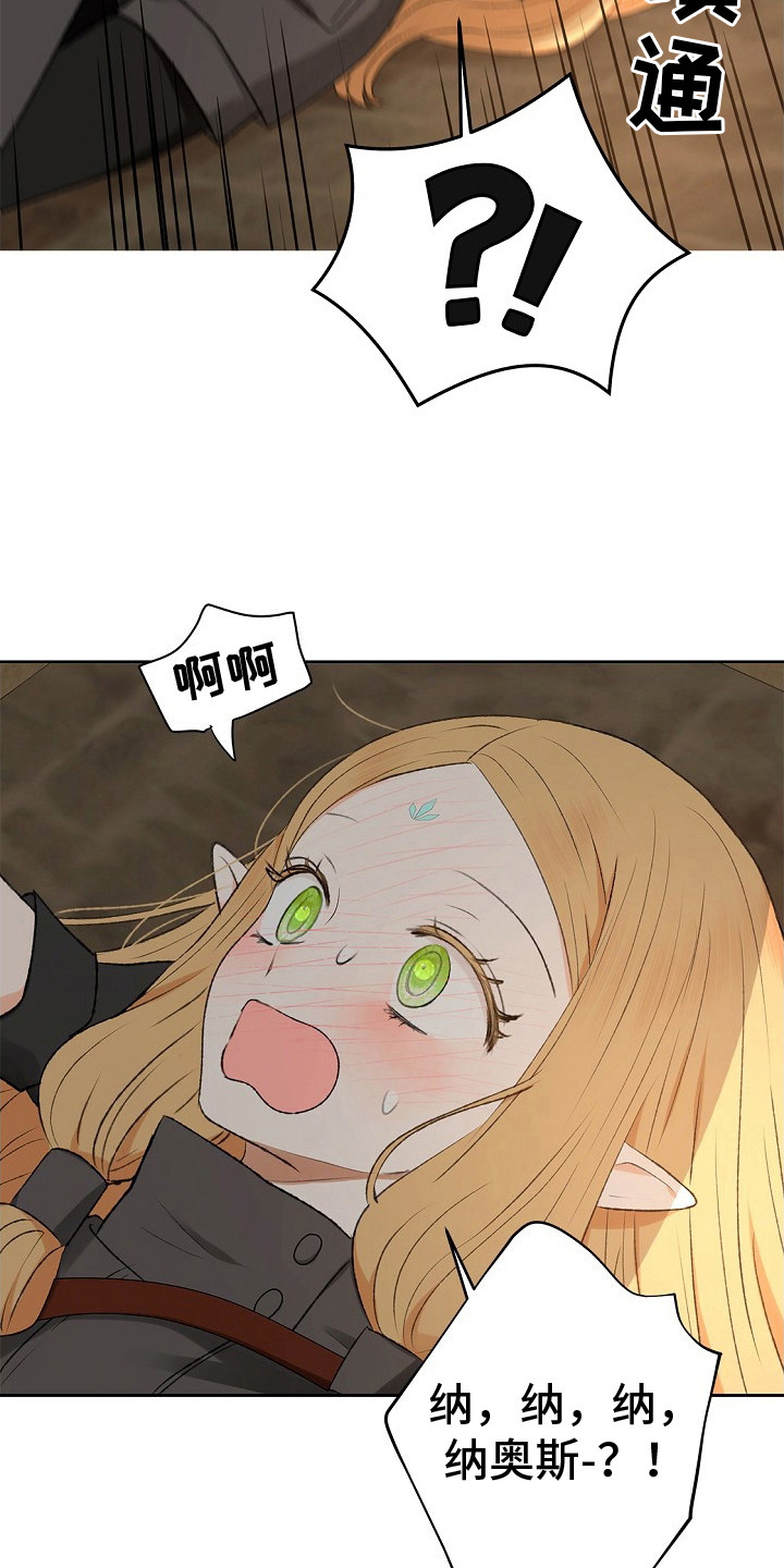 精灵冒险家漫画英文漫画,第5章：没法解决3图