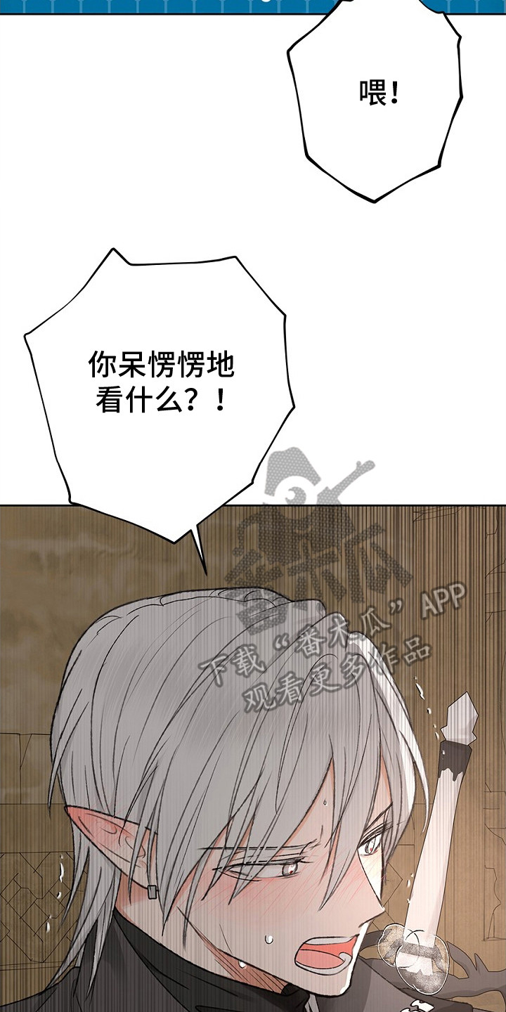 精灵梦叶罗丽第二季漫画,第4章：愣住了2图