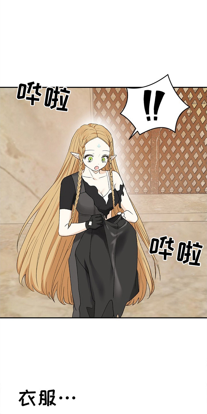 精灵冒险家在哪可以下载漫画,第13章：衣服融化4图