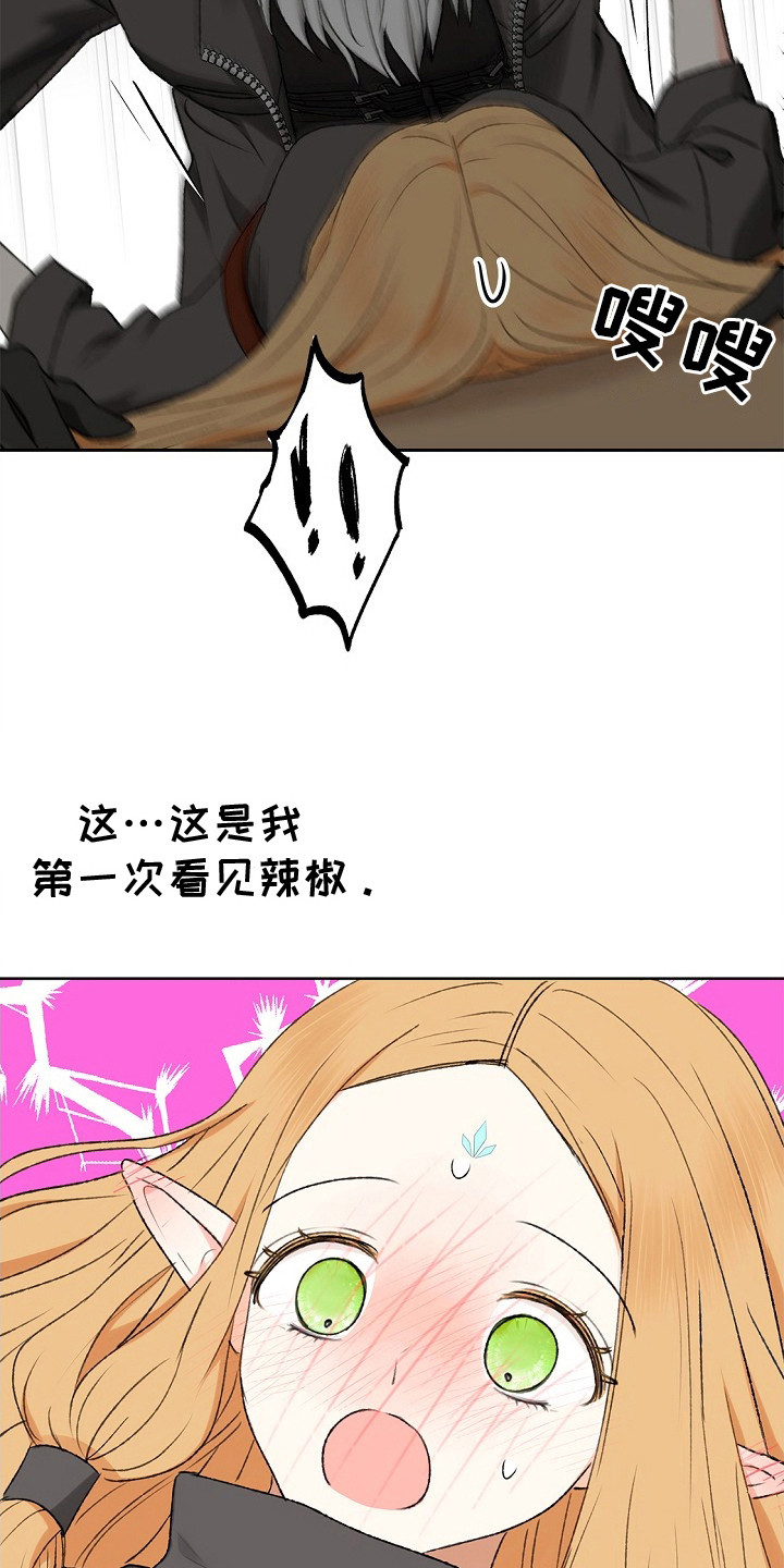 精灵冒险家漫画英文漫画,第5章：没法解决2图