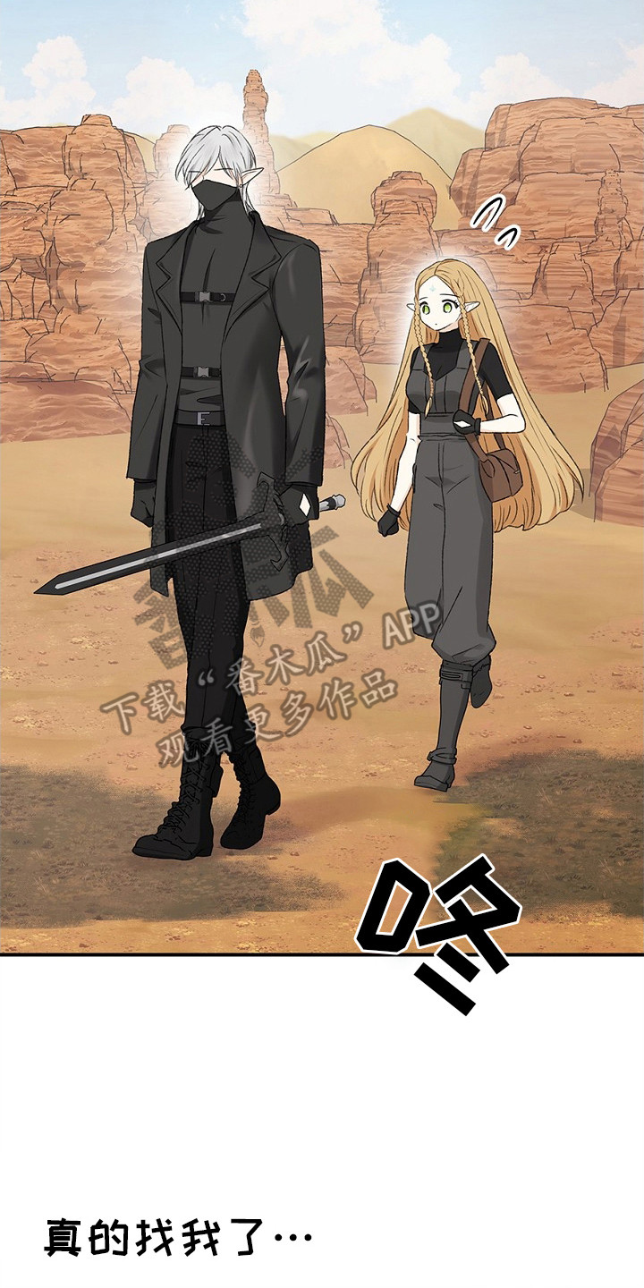 精灵冒险家漫画,第12章：幻想2图