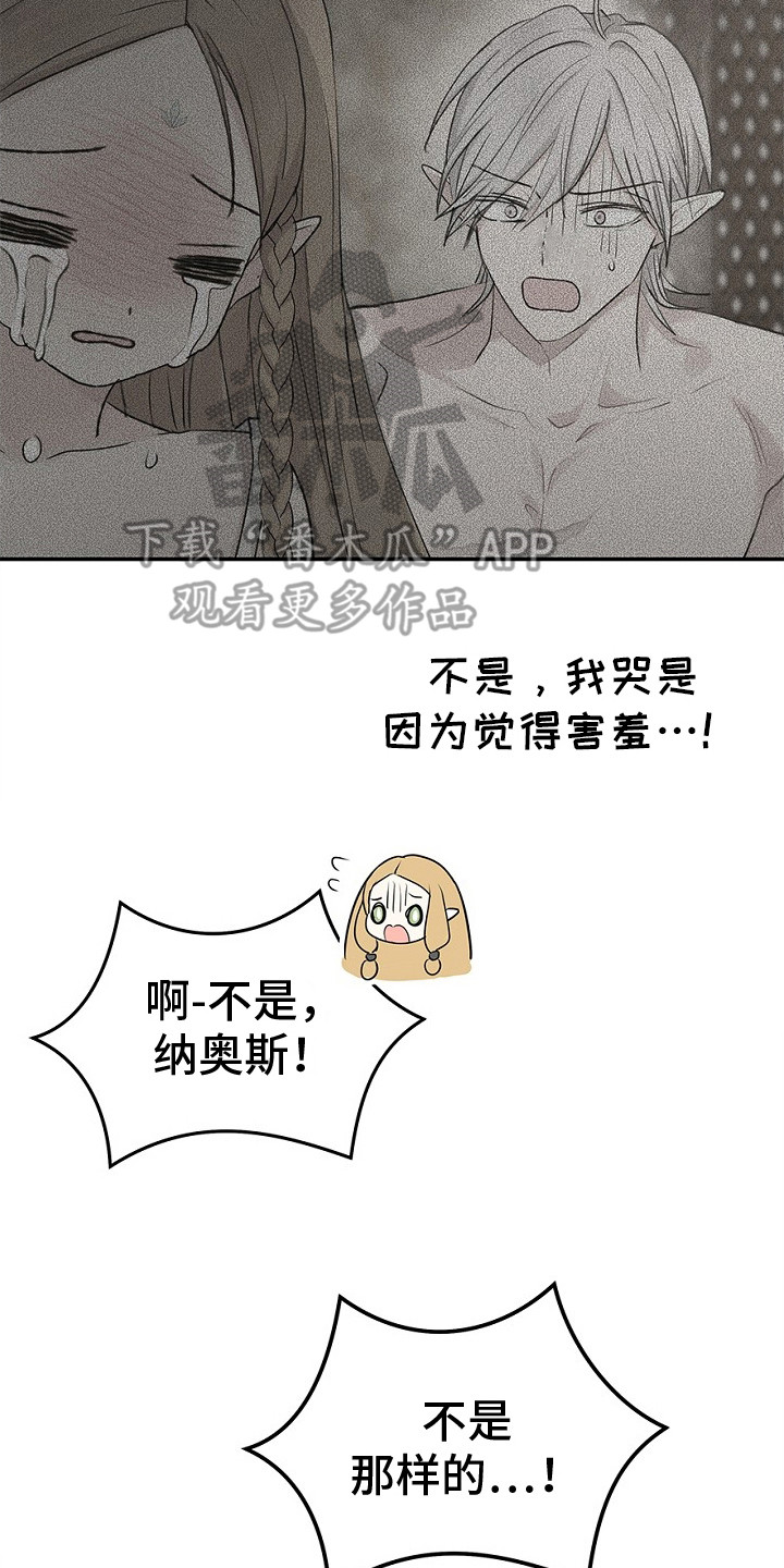 精灵冒险家漫画23漫画,第20章：误会了2图