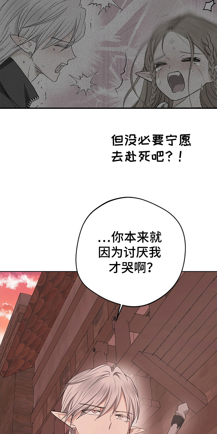 精灵冒险家漫画在线观看漫画,第20章：误会了5图