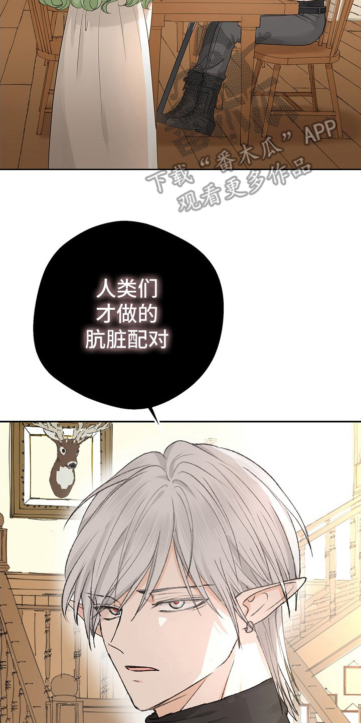 精灵冒险家漫画在线观看漫画,第2章：寻找搭档4图