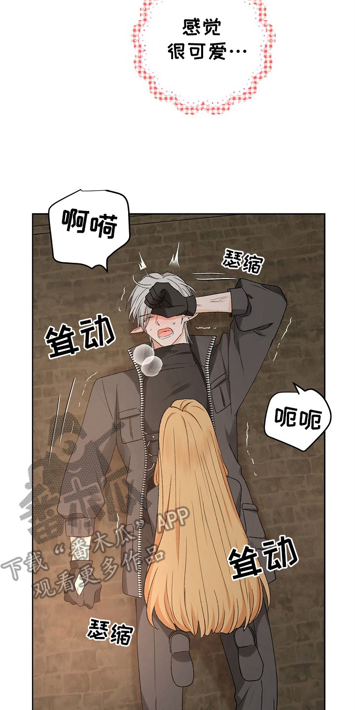 精灵梦叶罗丽第二季漫画,第7章：解除了4图