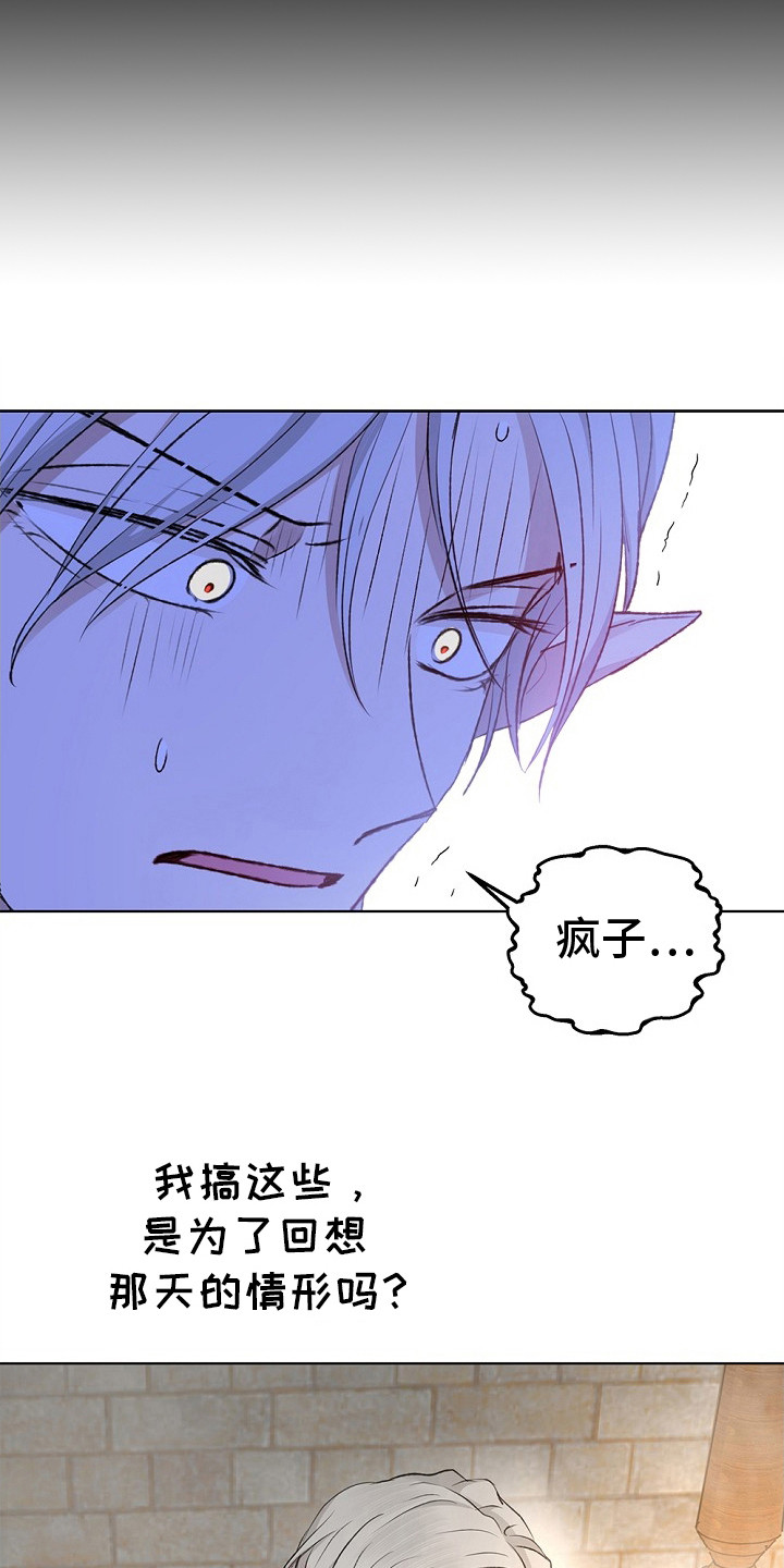 精灵冒险家漫画,第21章：下决心1图