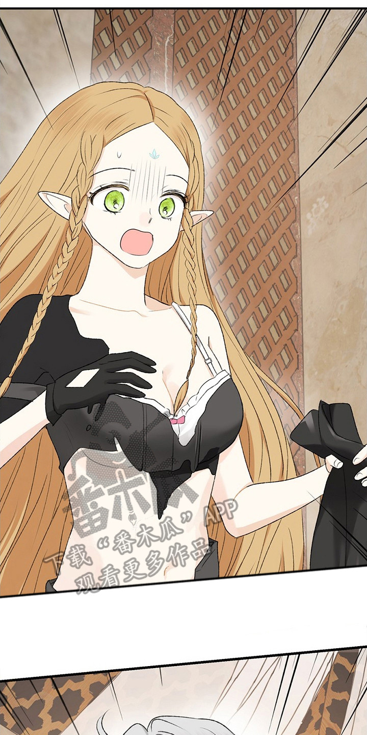 精灵冒险家在哪可以下载漫画,第13章：衣服融化5图