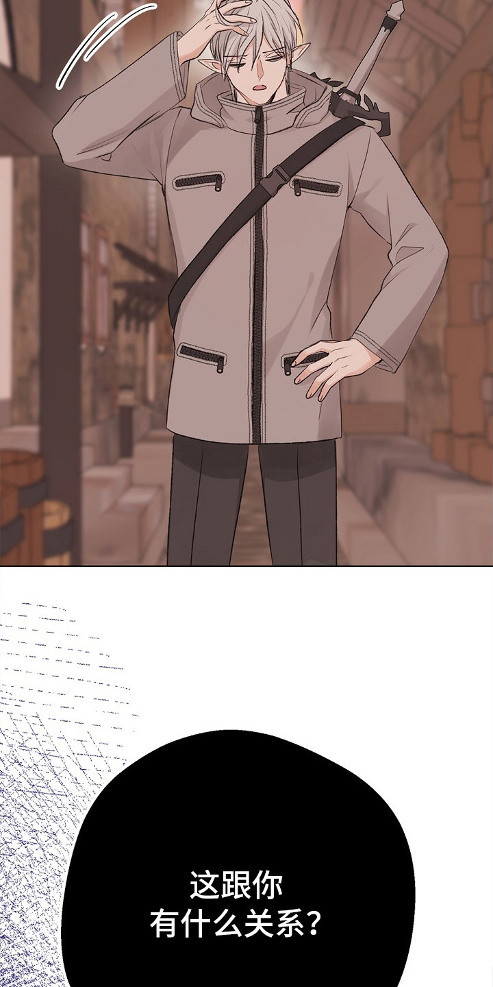 精灵冒险家选哪些精灵漫画,第20章：误会了3图