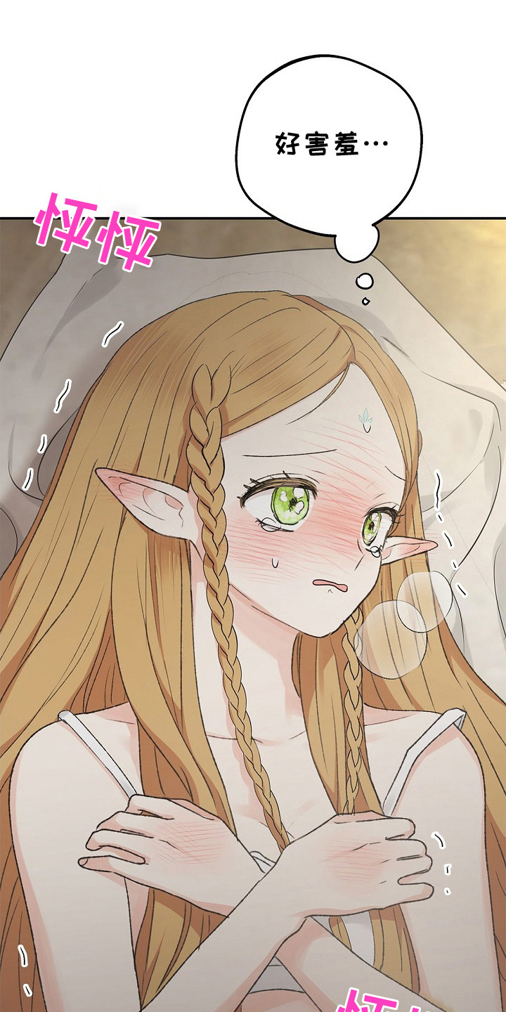 精灵冒险家官方漫画,第15章：准备好了1图