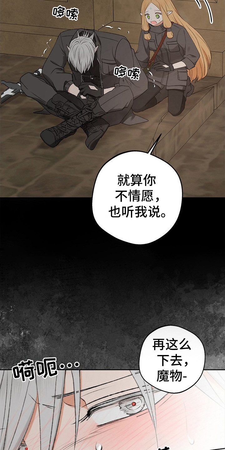 精灵冒险家漫画英文漫画,第5章：没法解决1图