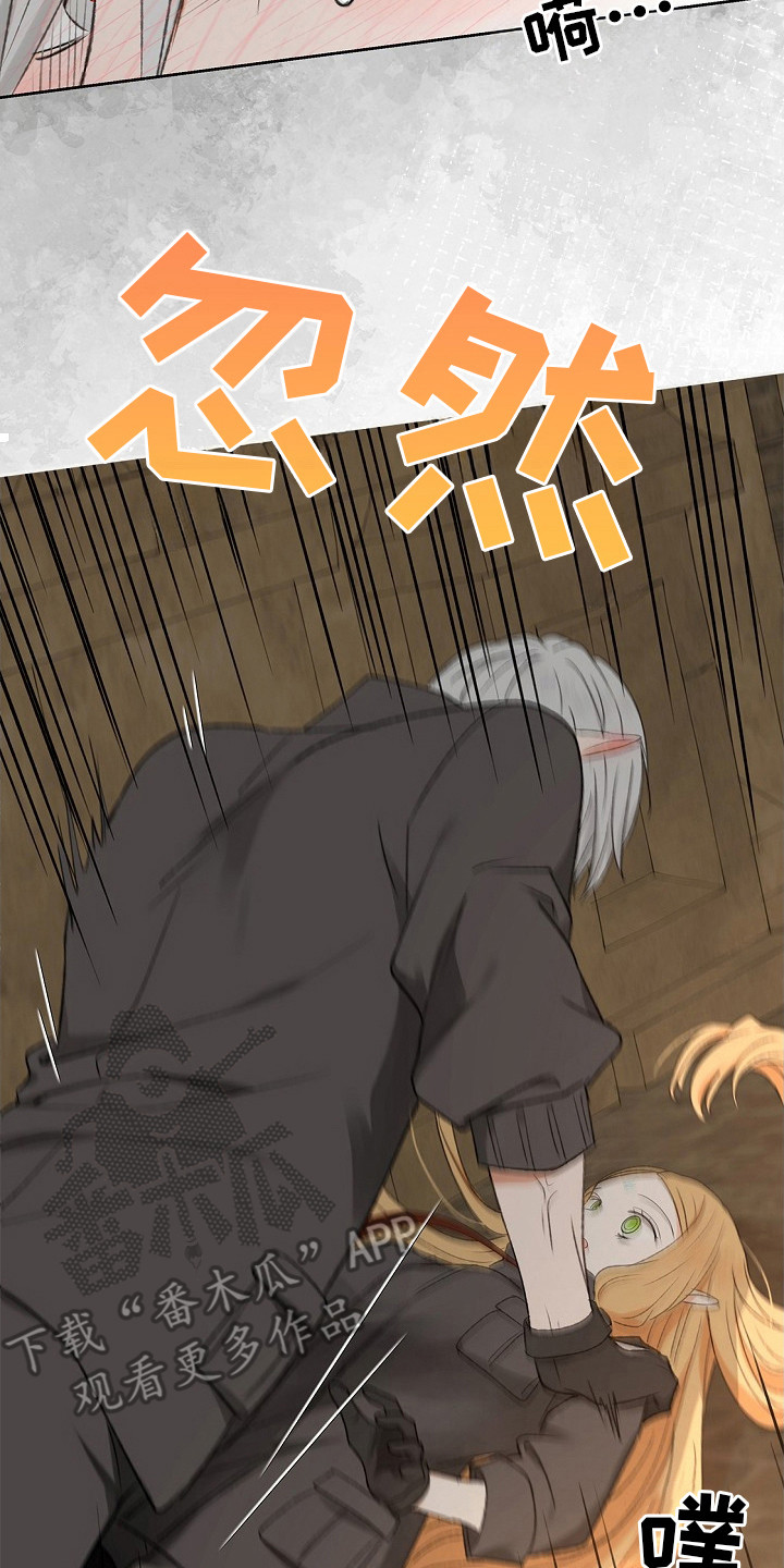 精灵冒险家漫画英文漫画,第5章：没法解决2图