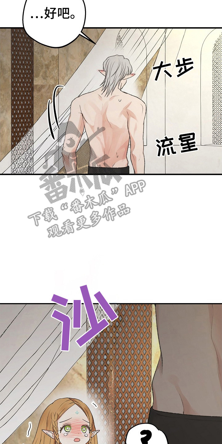 精灵冒险家漫画,第15章：准备好了4图