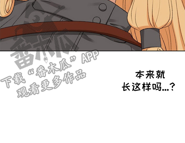 精灵冒险家漫画英文漫画,第5章：没法解决3图