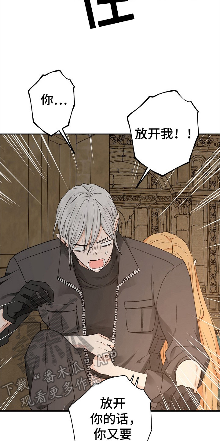 精灵冒险家游戏入口漫画,第6章：无奈之举4图