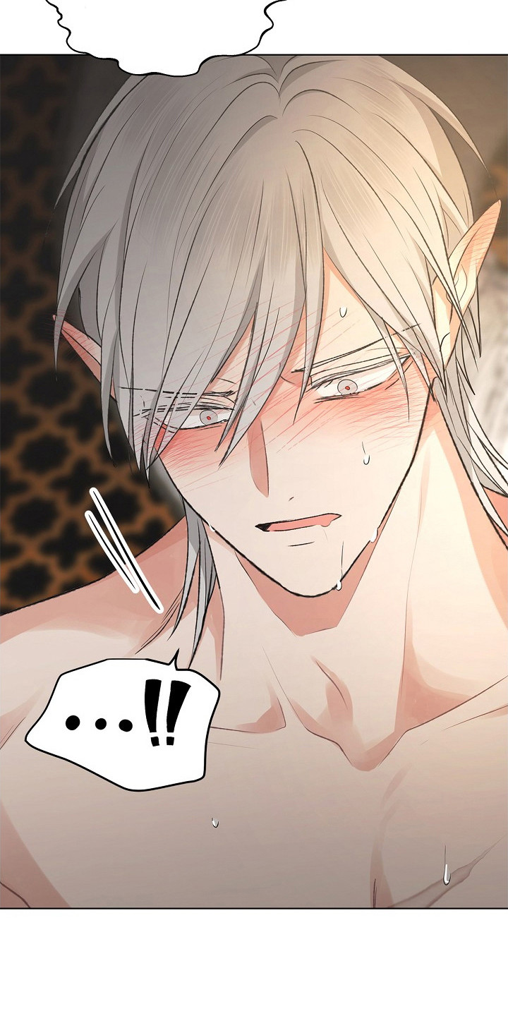 精灵冒险家漫画在线看漫画,第16章：心动1图