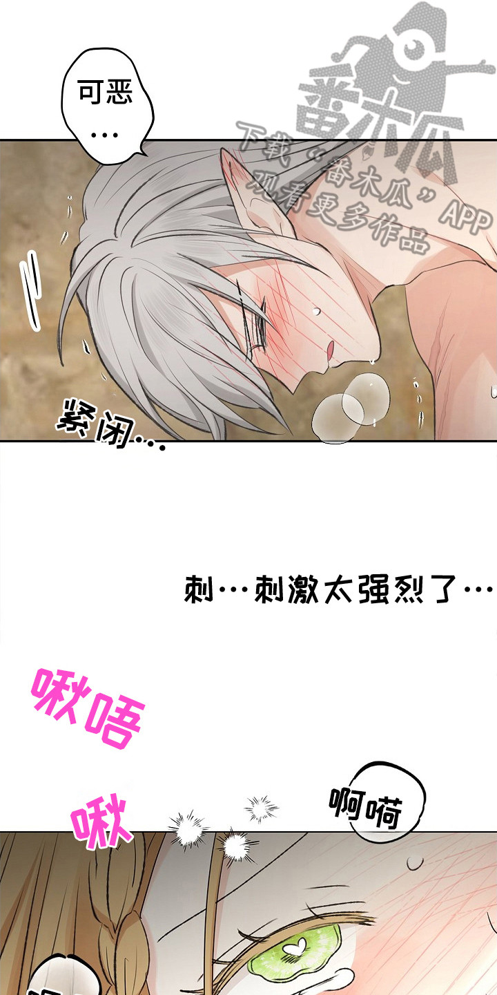 精灵冒险家漫画在线看漫画,第16章：心动2图