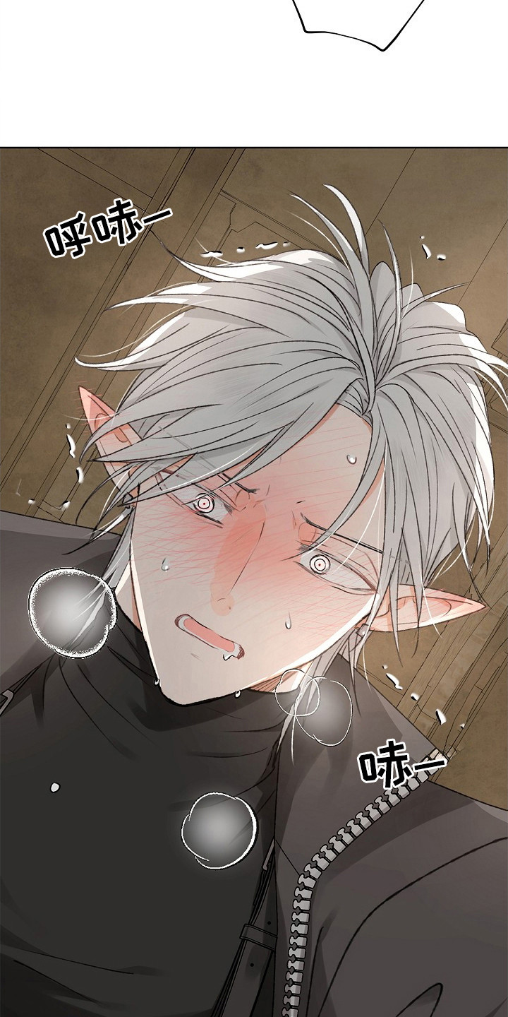 精灵冒险家漫画英文漫画,第5章：没法解决4图