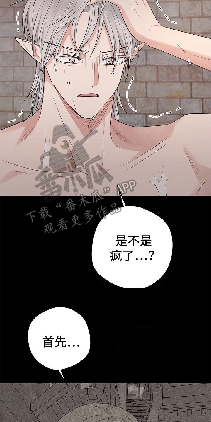 精灵冒险家漫画,第21章：下决心2图