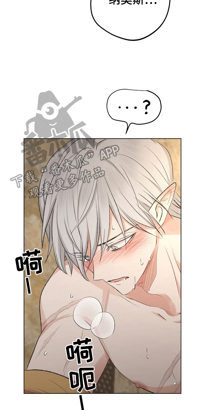 精灵冒险家漫画在线阅读全集高清漫画,第16章：心动4图