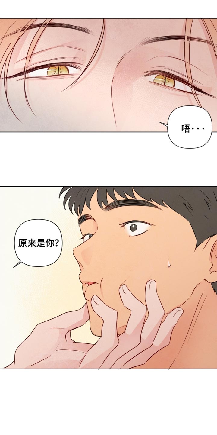 与神相拥漫画,第49章：【第二季】原来是你3图