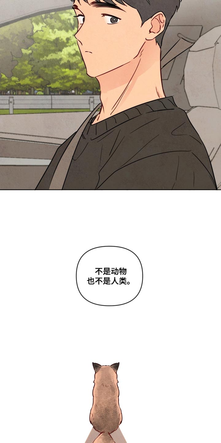 与神相拥漫画,第51章：【第二季】不是动物也不是人类1图