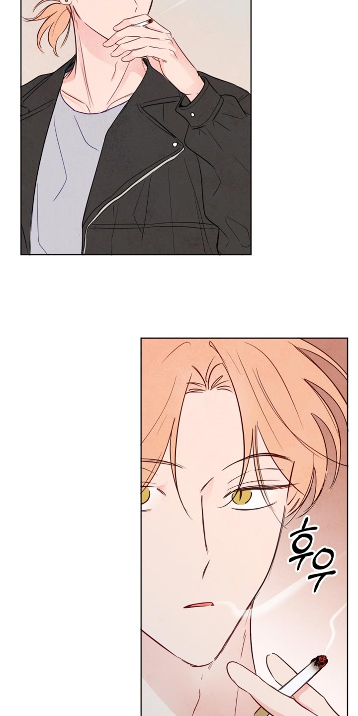 与神同行电影漫画,第53章：【第二季】特别喜欢的地方1图