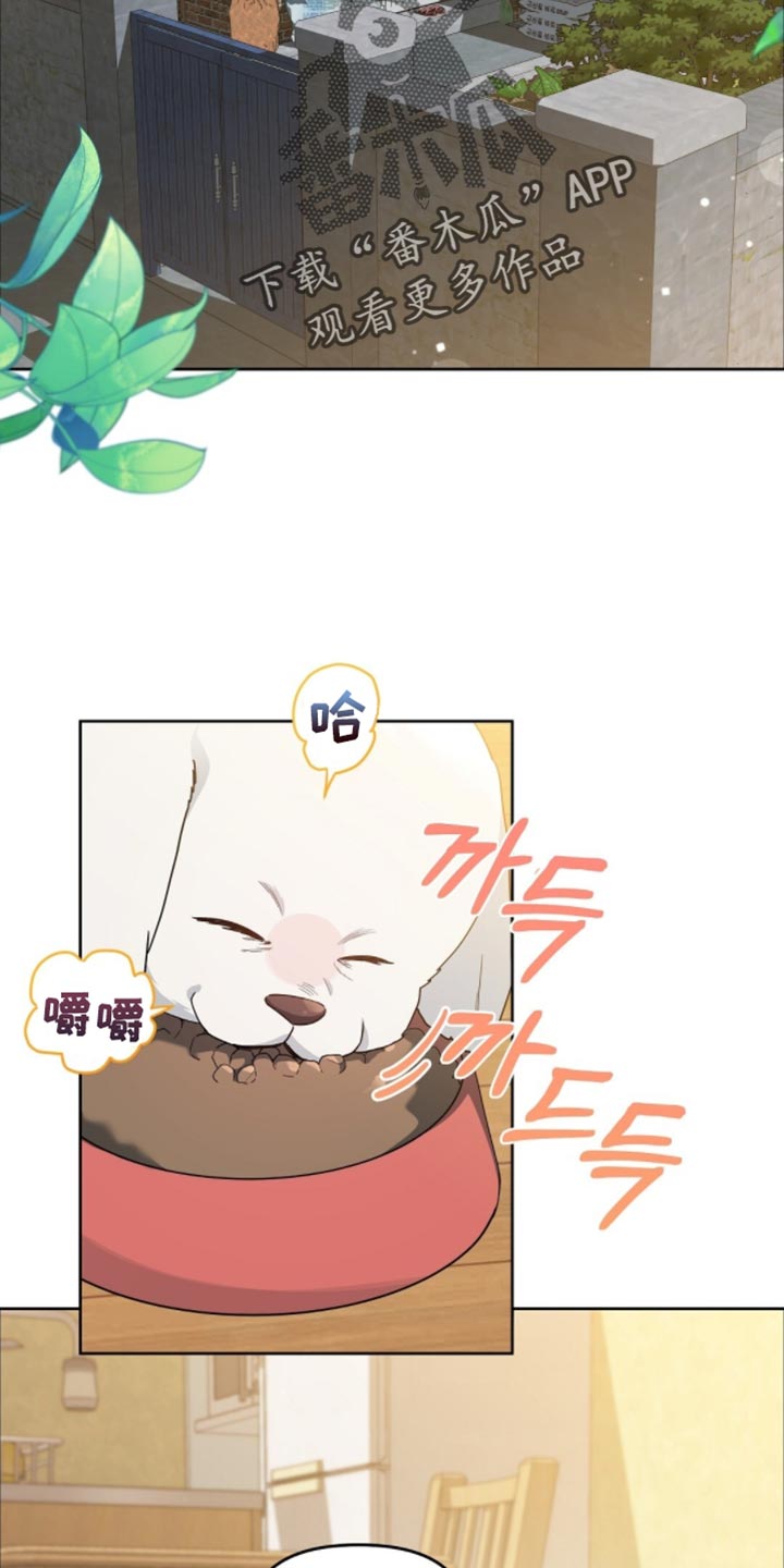 甜蜜的贿赂漫画,第63章：这是你的荣幸1图