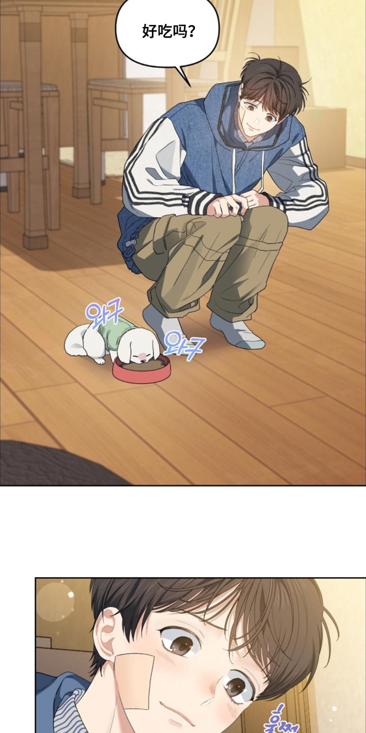 甜蜜的贿赂漫画,第63章：这是你的荣幸2图