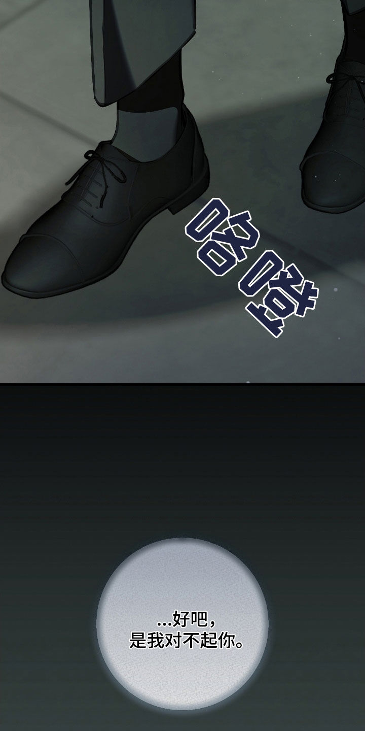 猎人回归漫画免费阅读漫画,第70章：调查报告4图