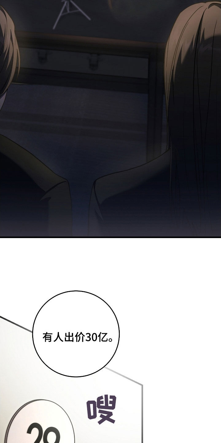 猎人回归漫画,第73章：竞拍取消2图