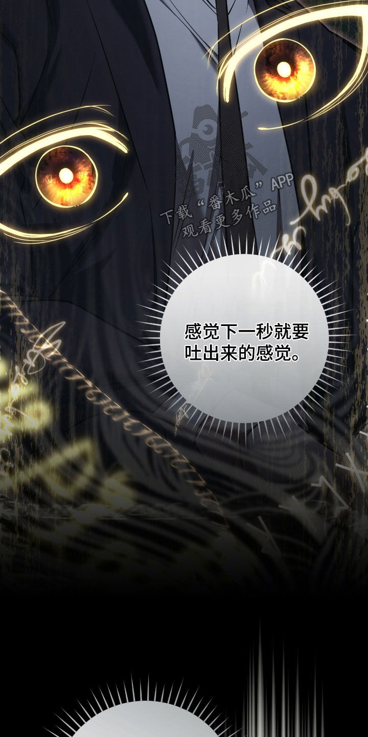 猎人回血装备漫画,第74章：亲眼所见5图