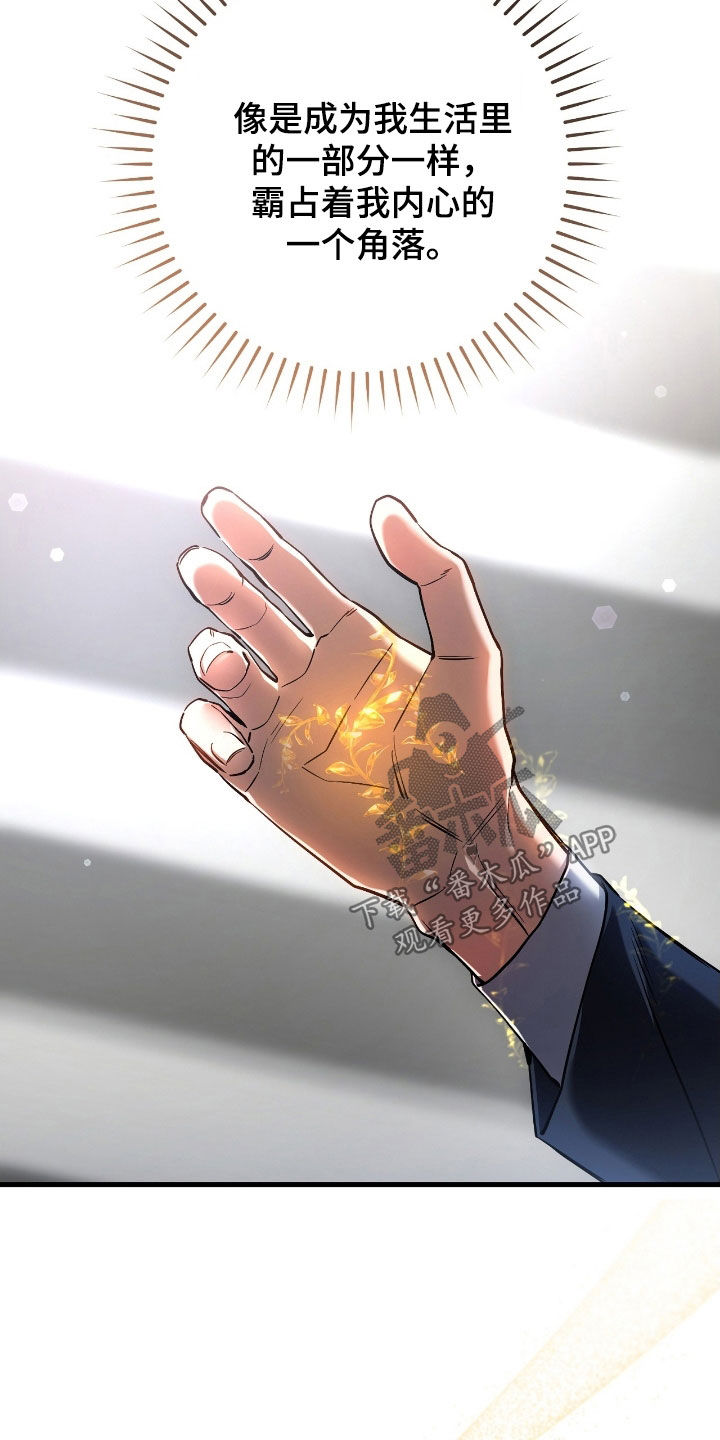 猎人回归漫画免费阅读漫画,第70章：调查报告1图