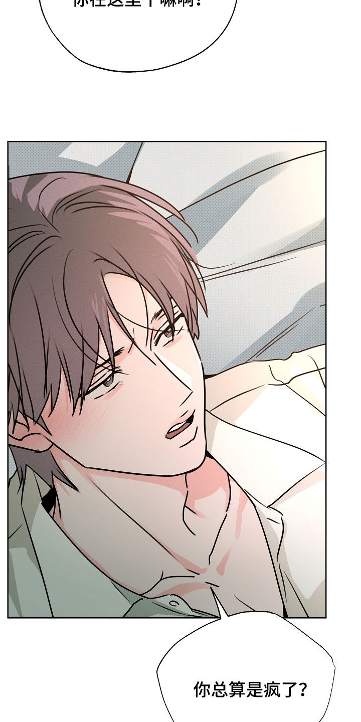 彩虹甜甜圈漫画,第69章：总算是疯了4图