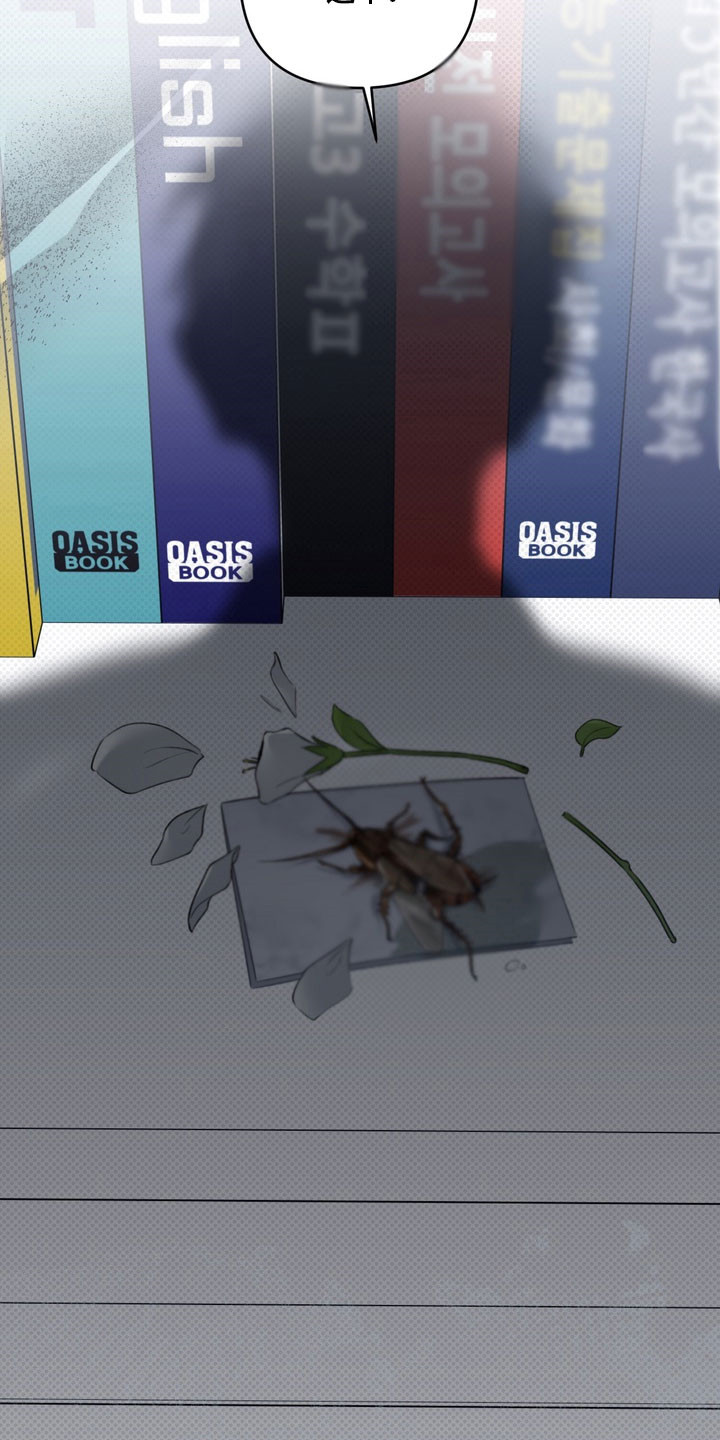 忧郁的视线漫画,第49章：初恋时节5图