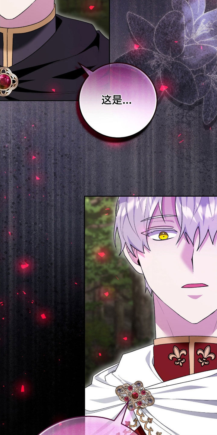 疯批大公的玩偶漫画在现看漫画,第63章：来客1图