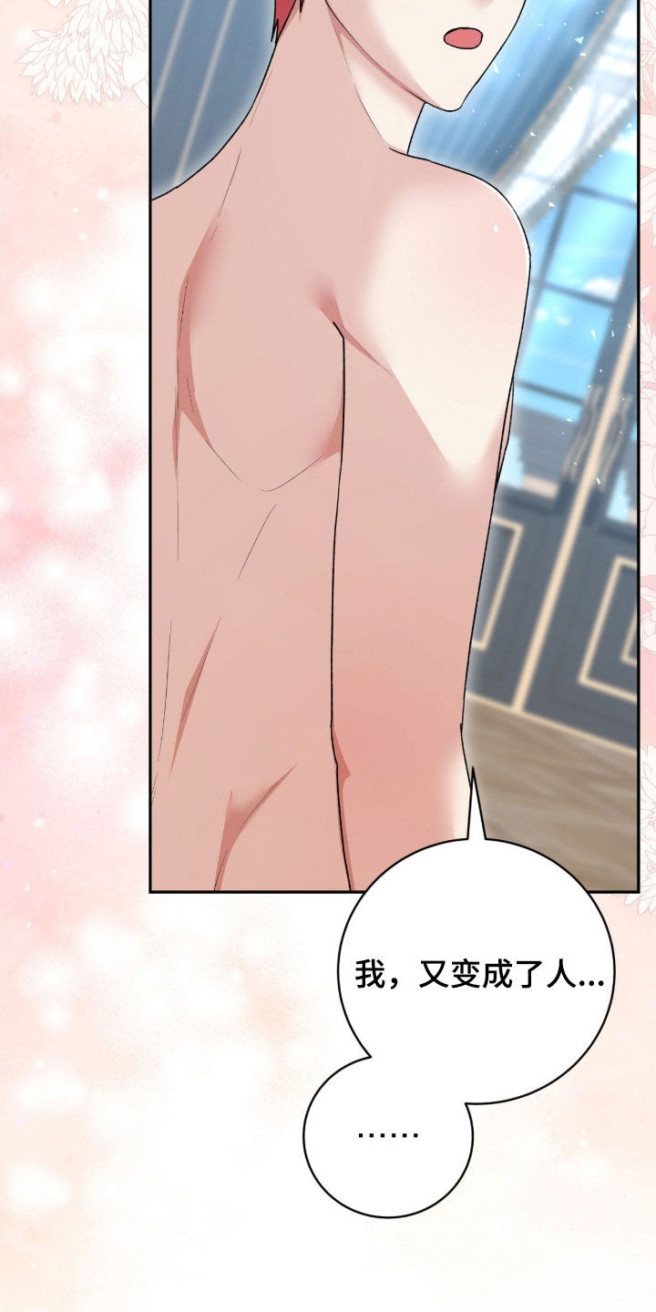 疯批大公的玩偶漫画,第65章：又变成人了2图