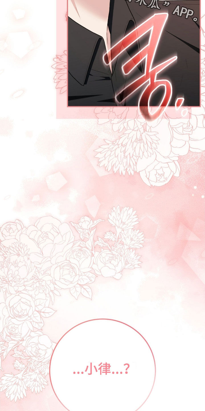 疯批大公的玩偶小说阅读漫画,第64章：梦境3图