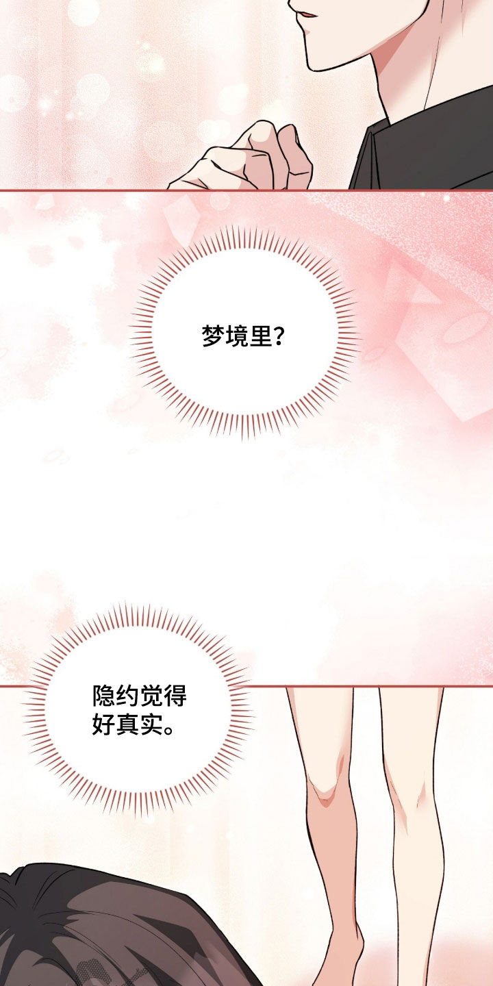 疯批大公的玩偶小说阅读漫画,第64章：梦境2图