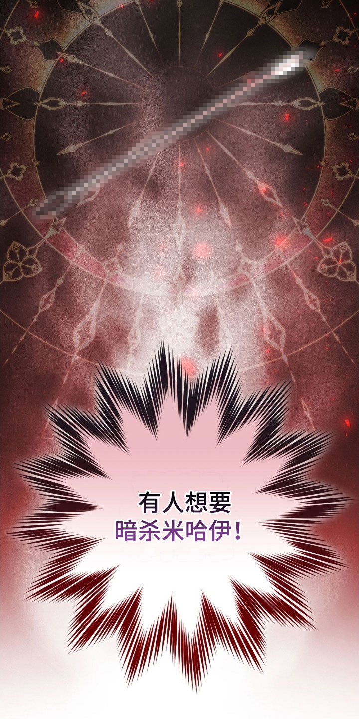 疯批大公的玩偶结局解析漫画,第62章：中箭1图