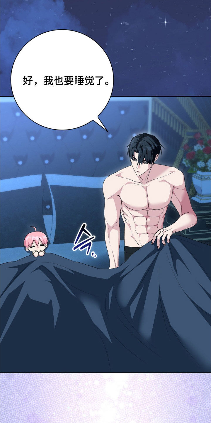 疯批大公的玩偶小说阅读漫画,第64章：梦境5图