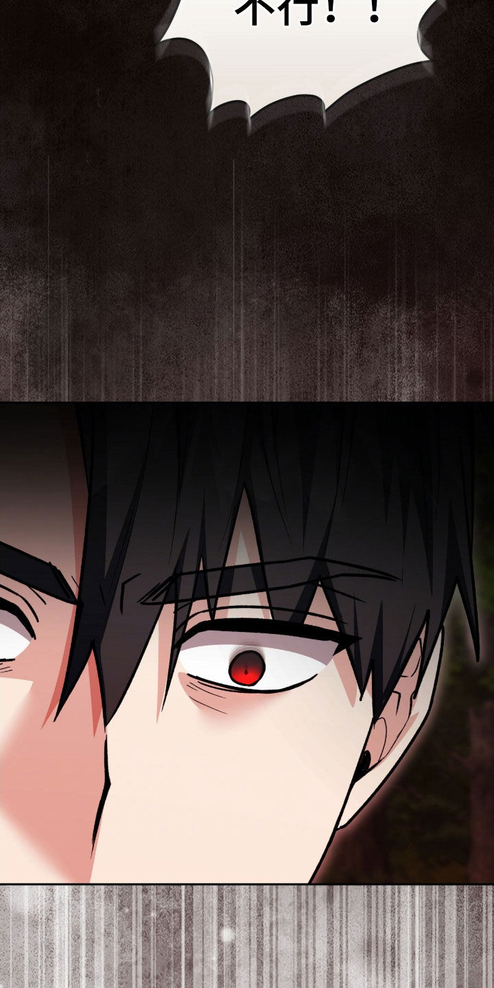 疯批大公的玩偶结局解析漫画,第62章：中箭1图