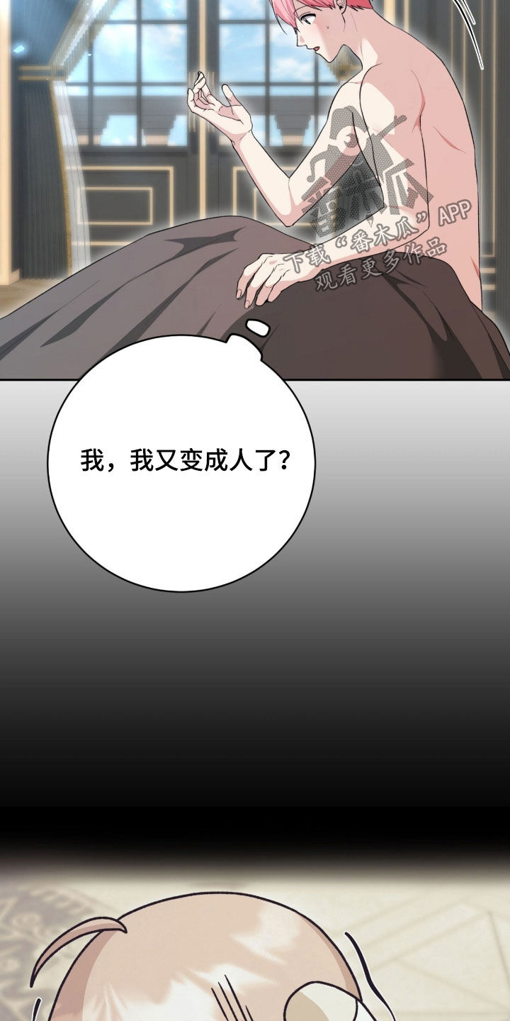 疯批大公的玩偶漫画,第65章：又变成人了5图