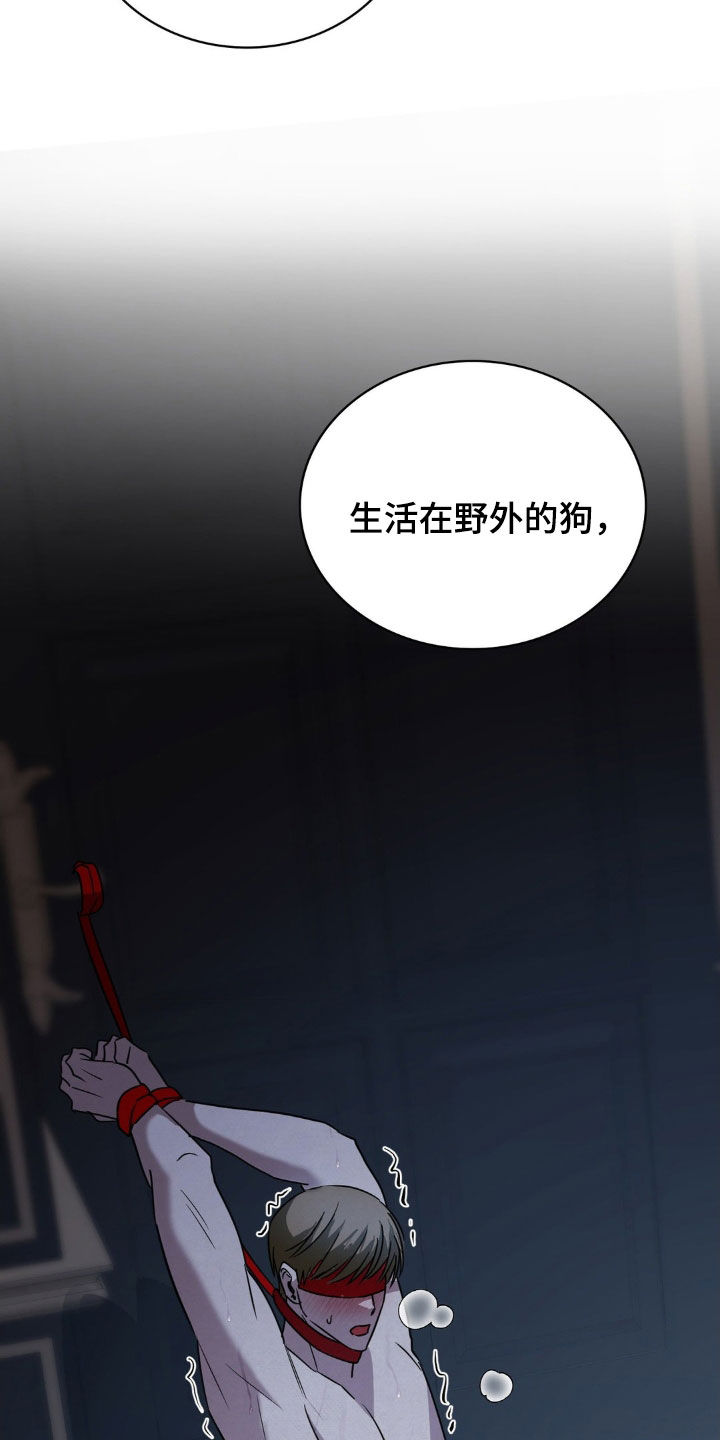 特殊绘画漫画,第48章：惩罚3图
