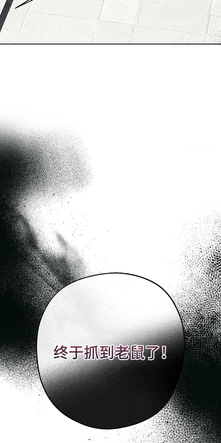 无贼漫画,第39章：终于抓到老鼠了！4图