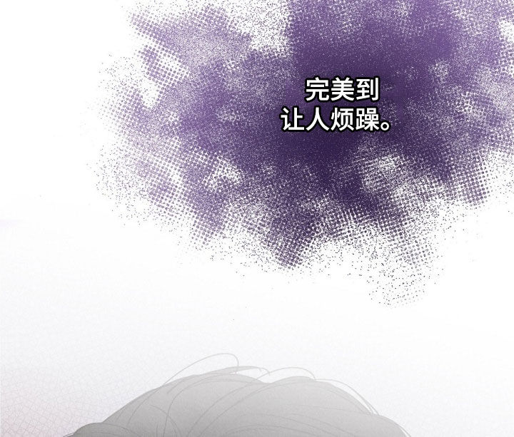 第46章：完美无缺2